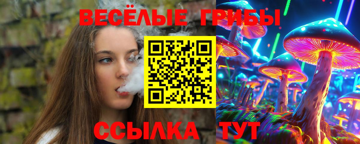 Курчалой  Псилоцибиновые грибы прущие грибы  Вход с VPN 