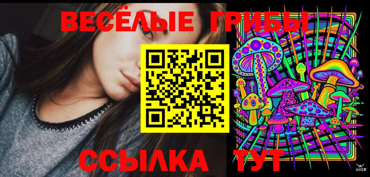 Галлюциногенные грибы Magic Shrooms Курчалой